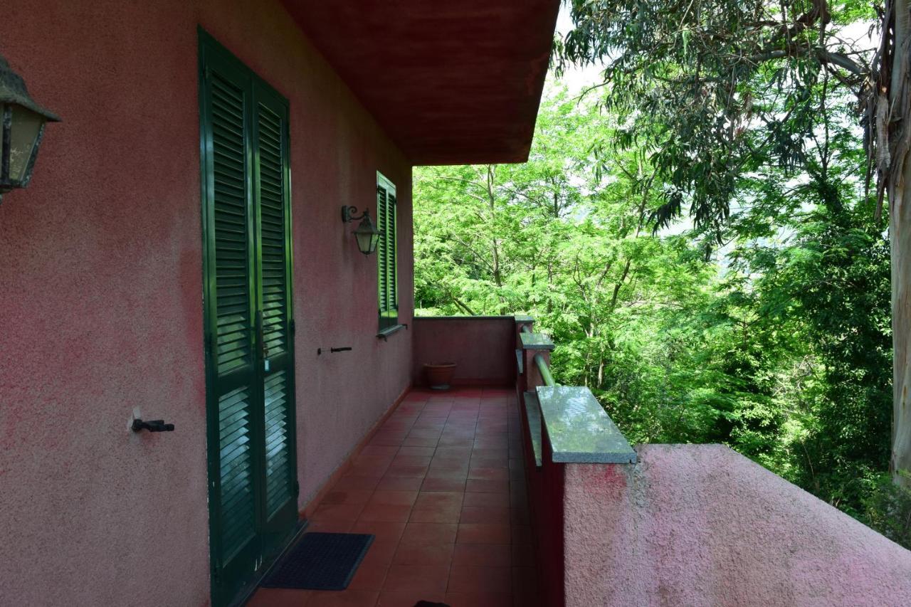 Il Giardino Selvatico Di Succellario - Apartments Barano d'Ischia Exterior photo
